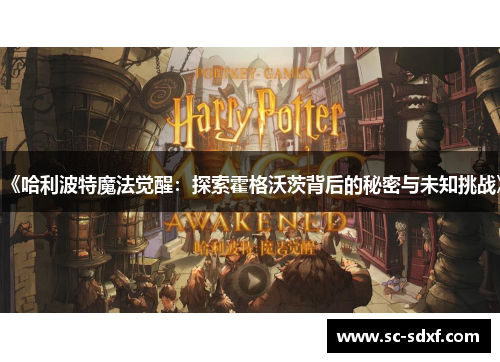 《哈利波特魔法觉醒：探索霍格沃茨背后的秘密与未知挑战》