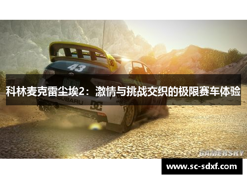 科林麦克雷尘埃2：激情与挑战交织的极限赛车体验