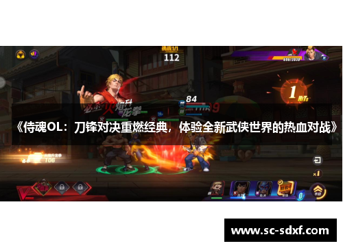 《侍魂OL：刀锋对决重燃经典，体验全新武侠世界的热血对战》