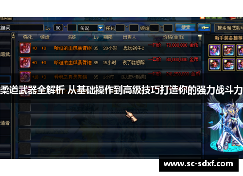 柔道武器全解析 从基础操作到高级技巧打造你的强力战斗力